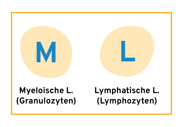 blutzellentyp